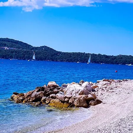 Ana Trogir