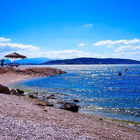 Ana Trogir