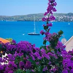 Ana Trogir
