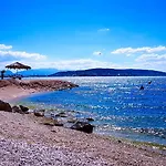 Ana Trogir
