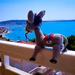 Ana * Trogir