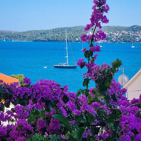 Ana Trogir